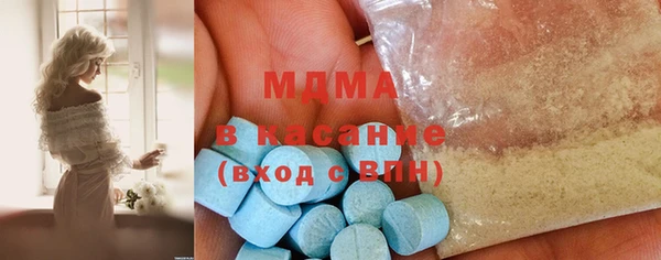 индика Мегион