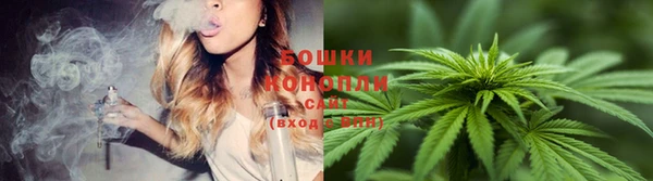 дурь Медвежьегорск