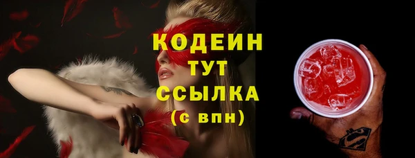 индика Мегион