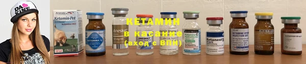 индика Мегион