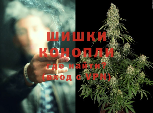 твердый Магас