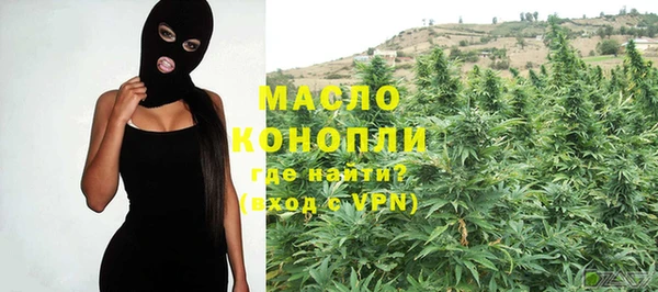 индика Мегион