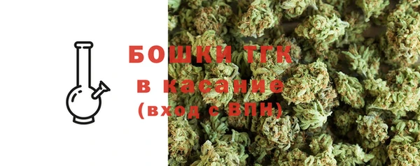 индика Мегион