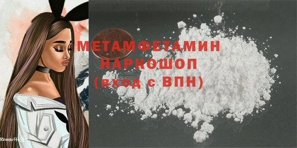 индика Мегион