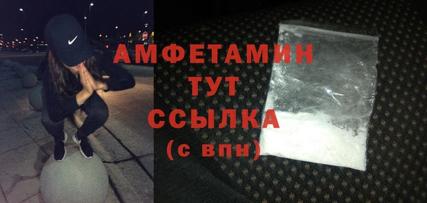 индика Мегион