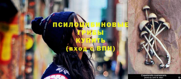 индика Нефтекумск