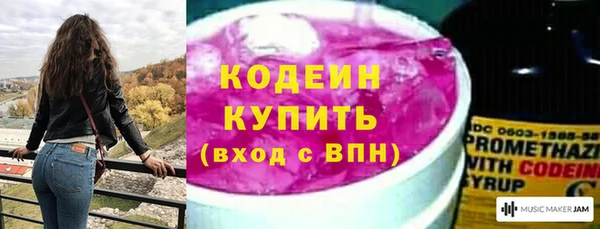 индика Мегион