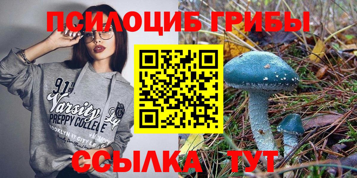 Псилоцибиновые грибы мухоморы Нарьян-Мар