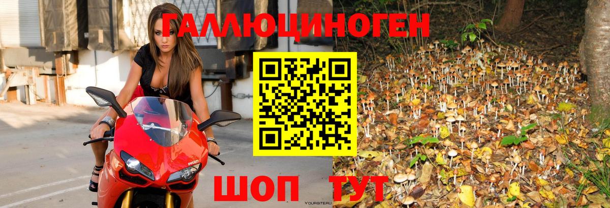 Нарьян-Мар  Галлюциногенные грибы Magic Shrooms  Галлюциногенные грибы GOLDEN TEACHER  как найти наркотики  Вход с VPN 